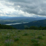 6-1-09 012.jpg