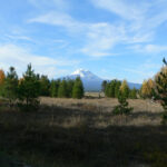 MtAdams.jpg